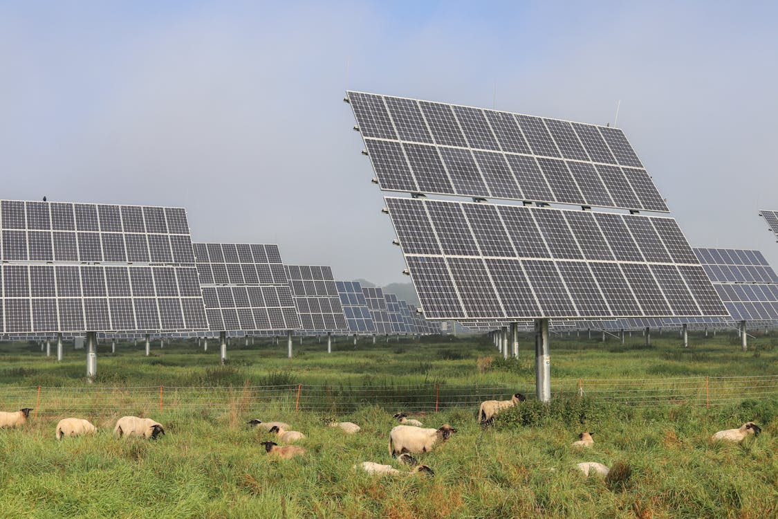 Large solar farm for renewable energy