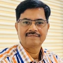 Purnendu Kanth, Senior Advisor Energy and Gas, GreyRadius Consulting